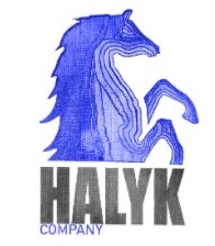 Halyk Company